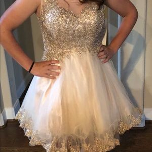 Nude-beige  sheer and gold embroidered cocktail